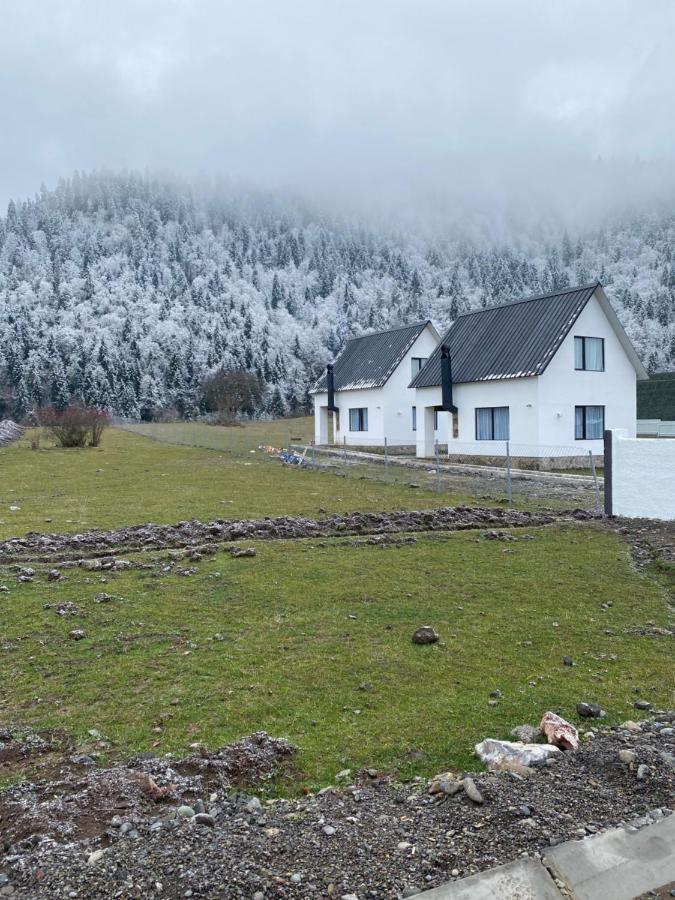 White House Near Borjomi Sadgeriアパートメント エクステリア 写真