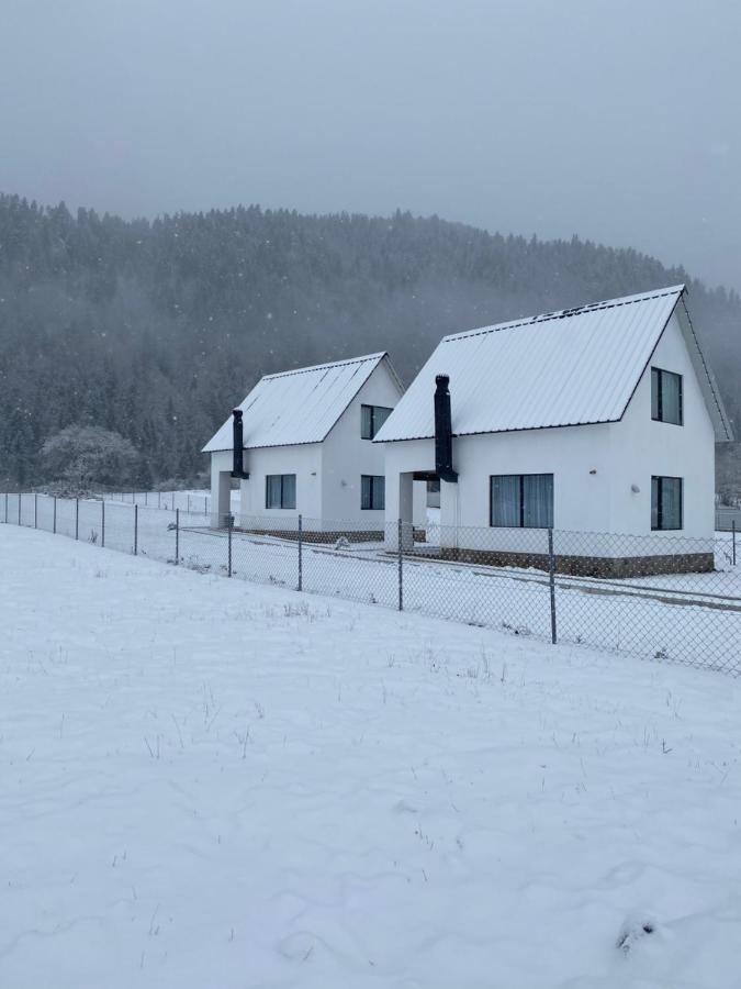 White House Near Borjomi Sadgeriアパートメント エクステリア 写真