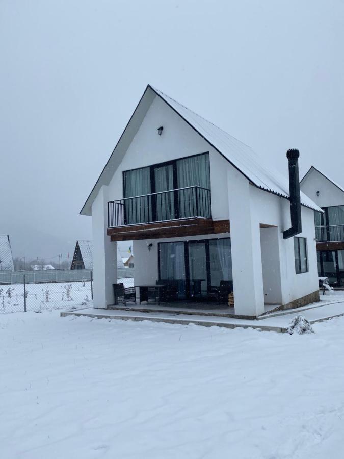 White House Near Borjomi Sadgeriアパートメント エクステリア 写真