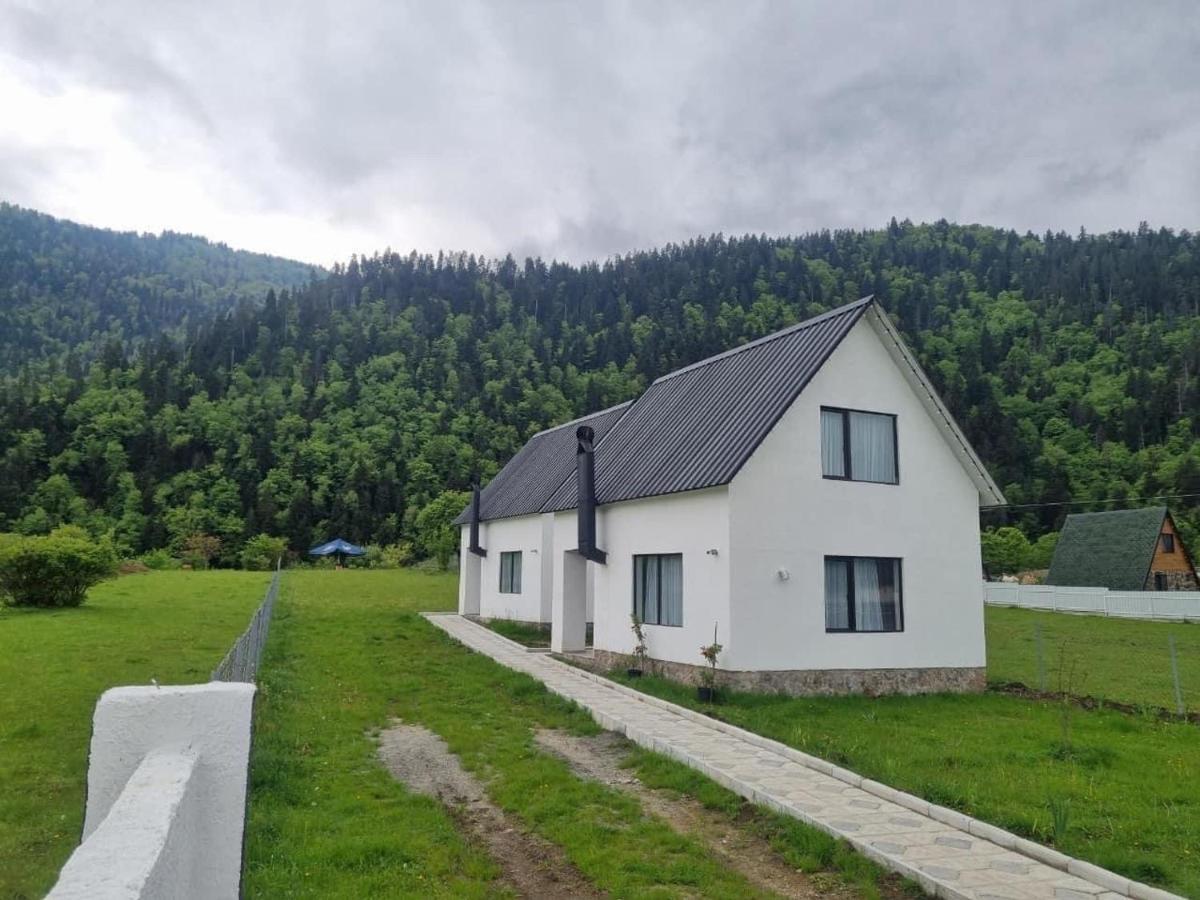 White House Near Borjomi Sadgeriアパートメント エクステリア 写真