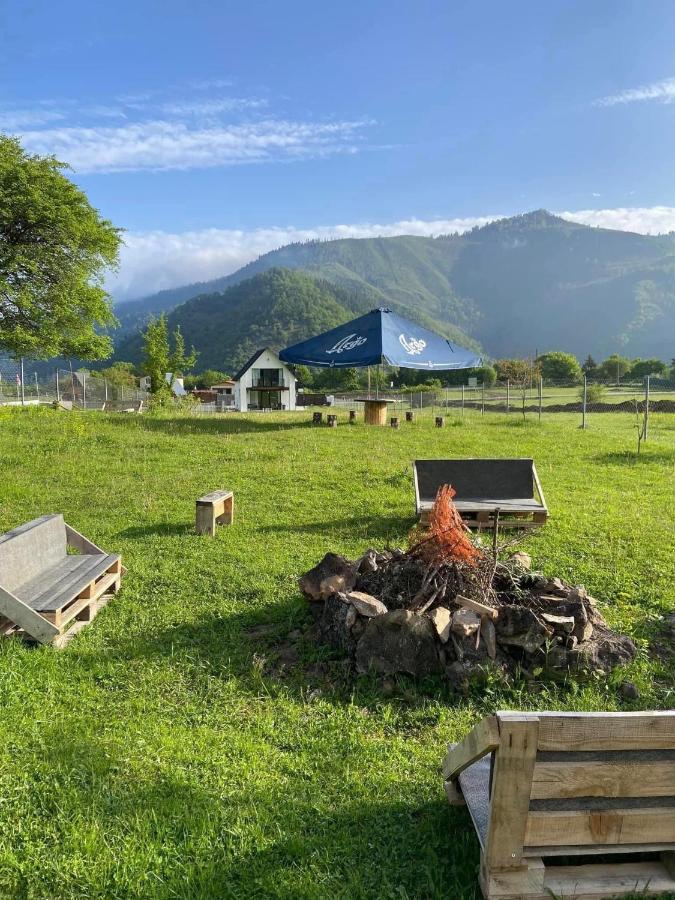 White House Near Borjomi Sadgeriアパートメント エクステリア 写真