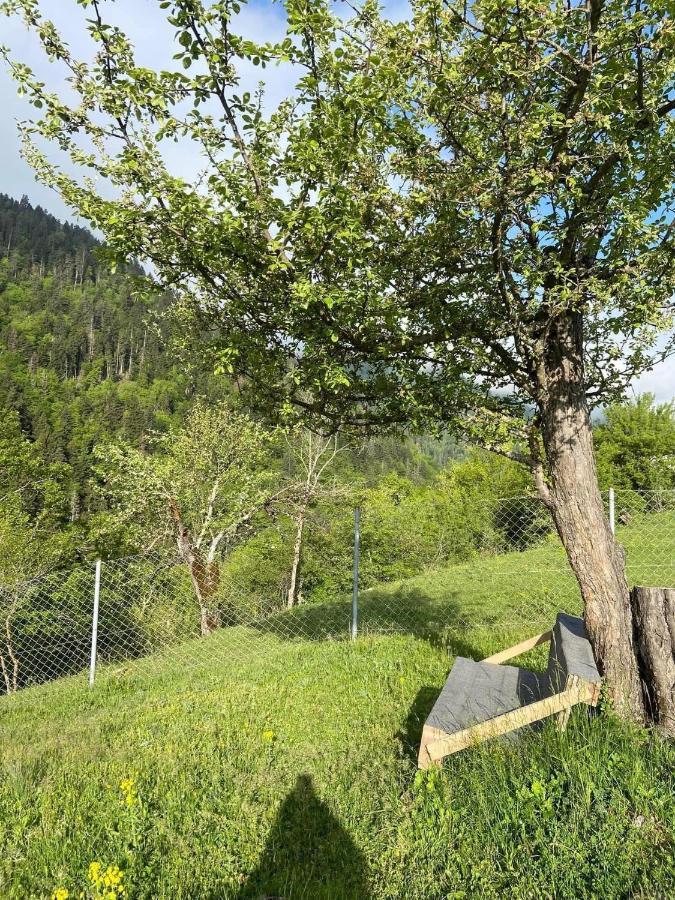 White House Near Borjomi Sadgeriアパートメント エクステリア 写真