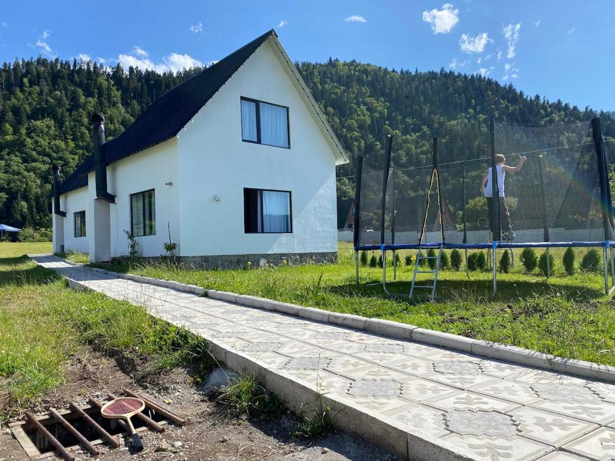 White House Near Borjomi Sadgeriアパートメント エクステリア 写真