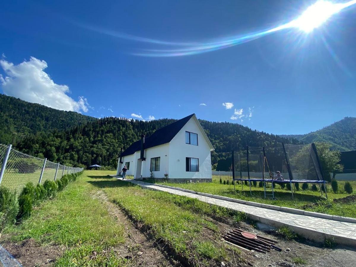 White House Near Borjomi Sadgeriアパートメント エクステリア 写真
