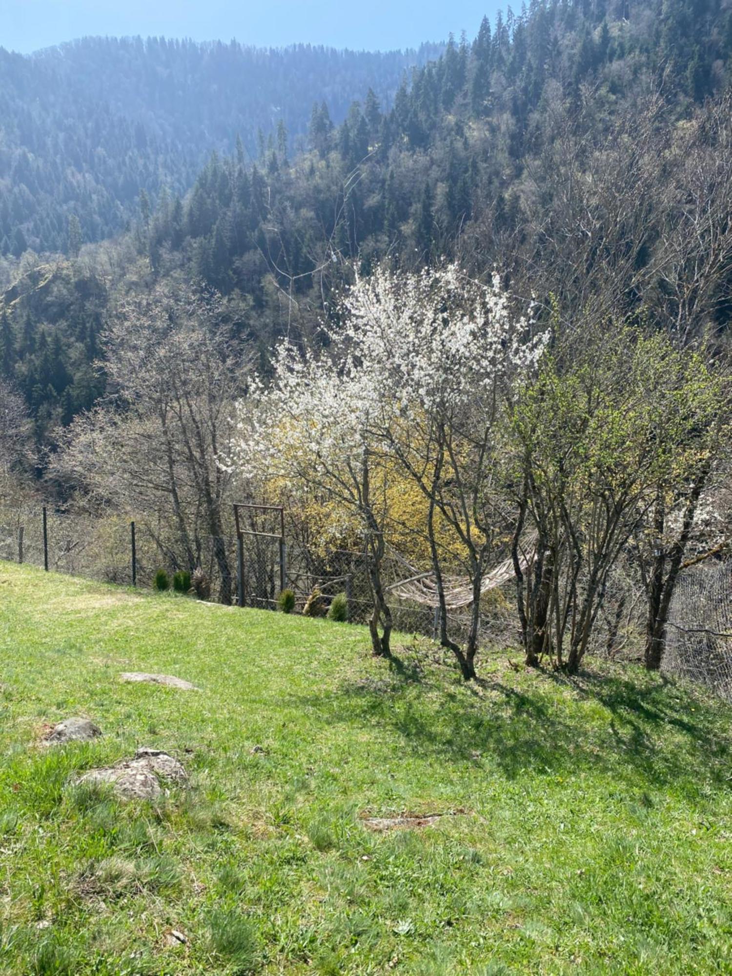 White House Near Borjomi Sadgeriアパートメント エクステリア 写真