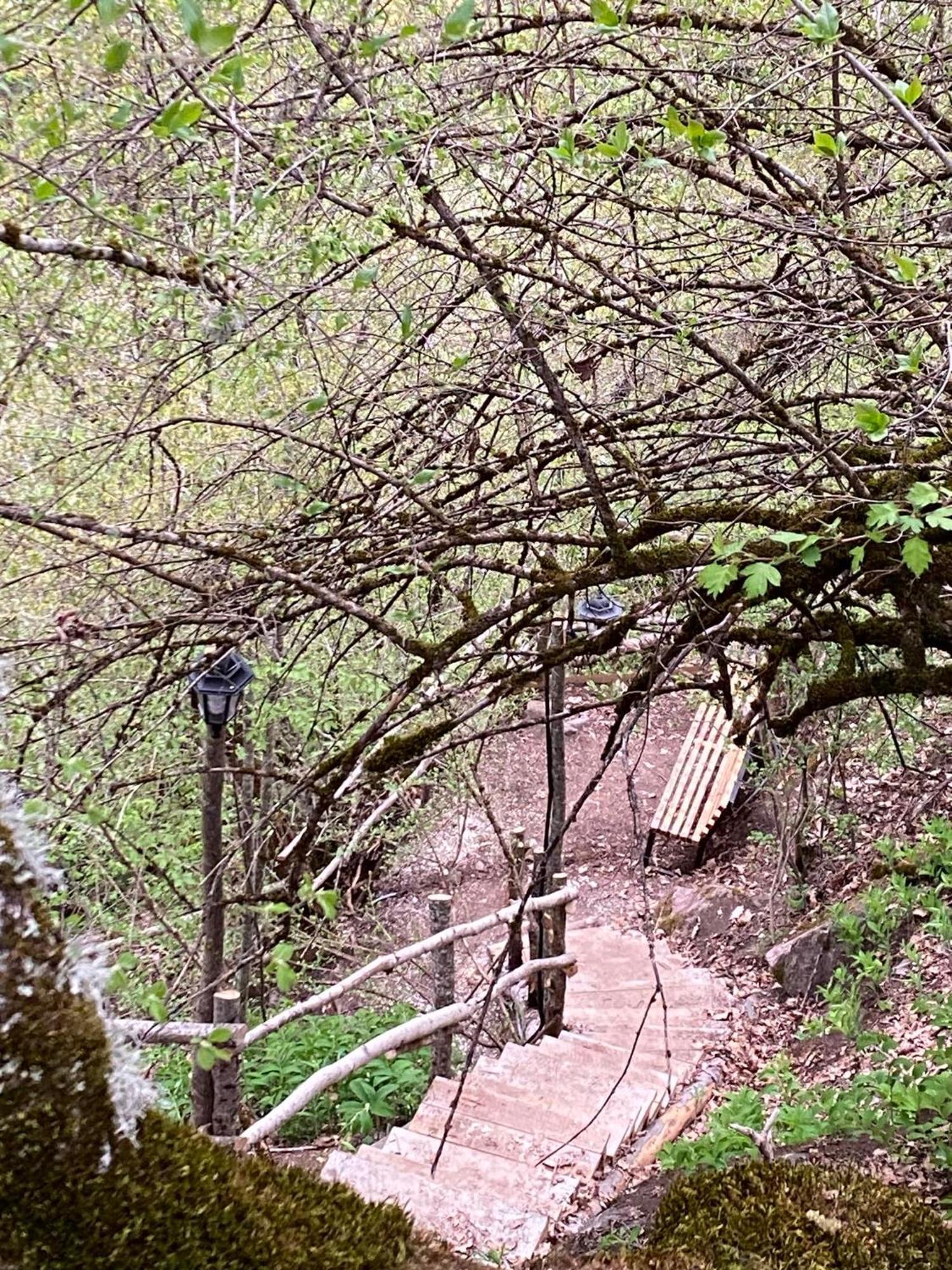 White House Near Borjomi Sadgeriアパートメント エクステリア 写真