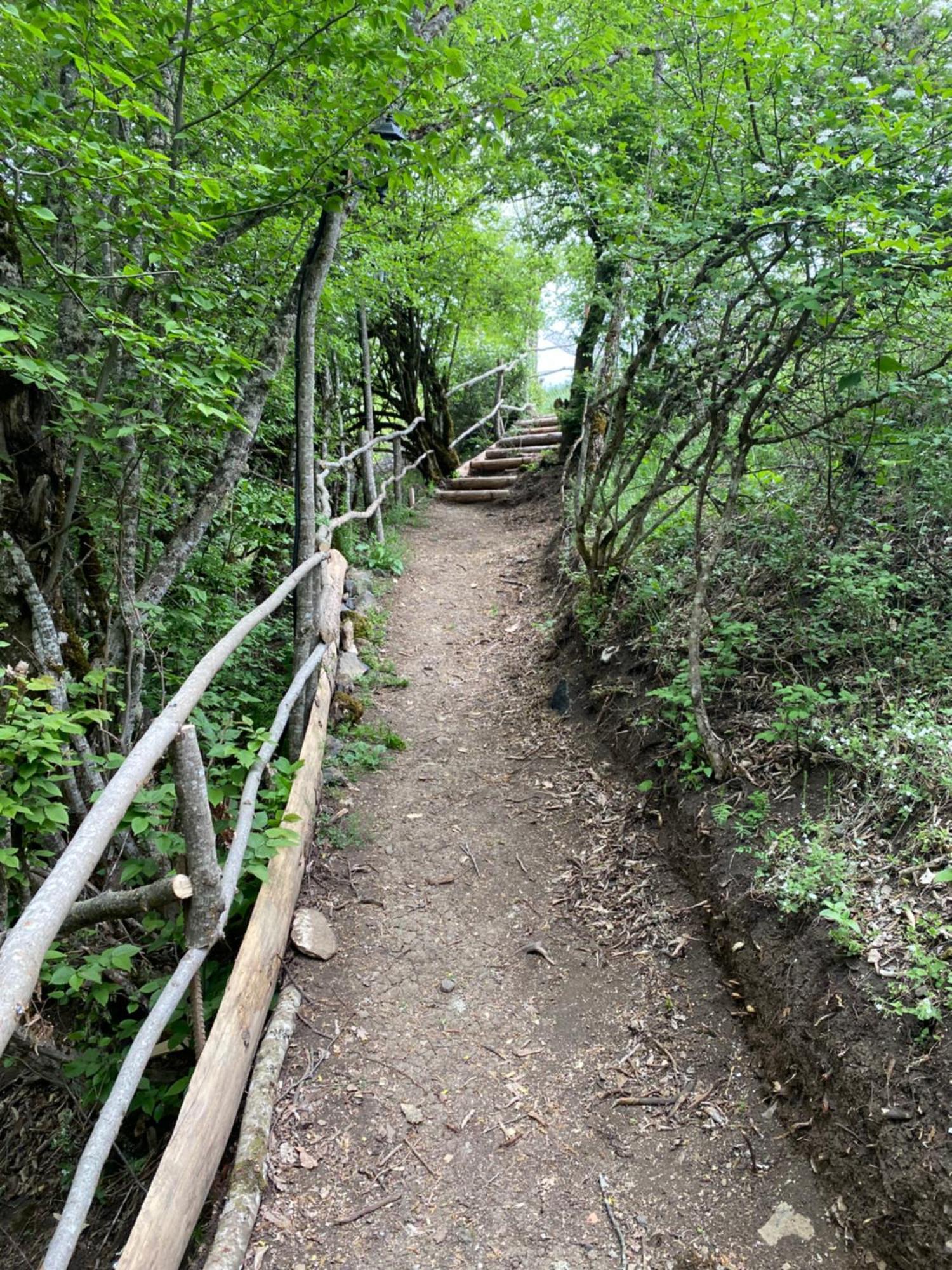 White House Near Borjomi Sadgeriアパートメント エクステリア 写真