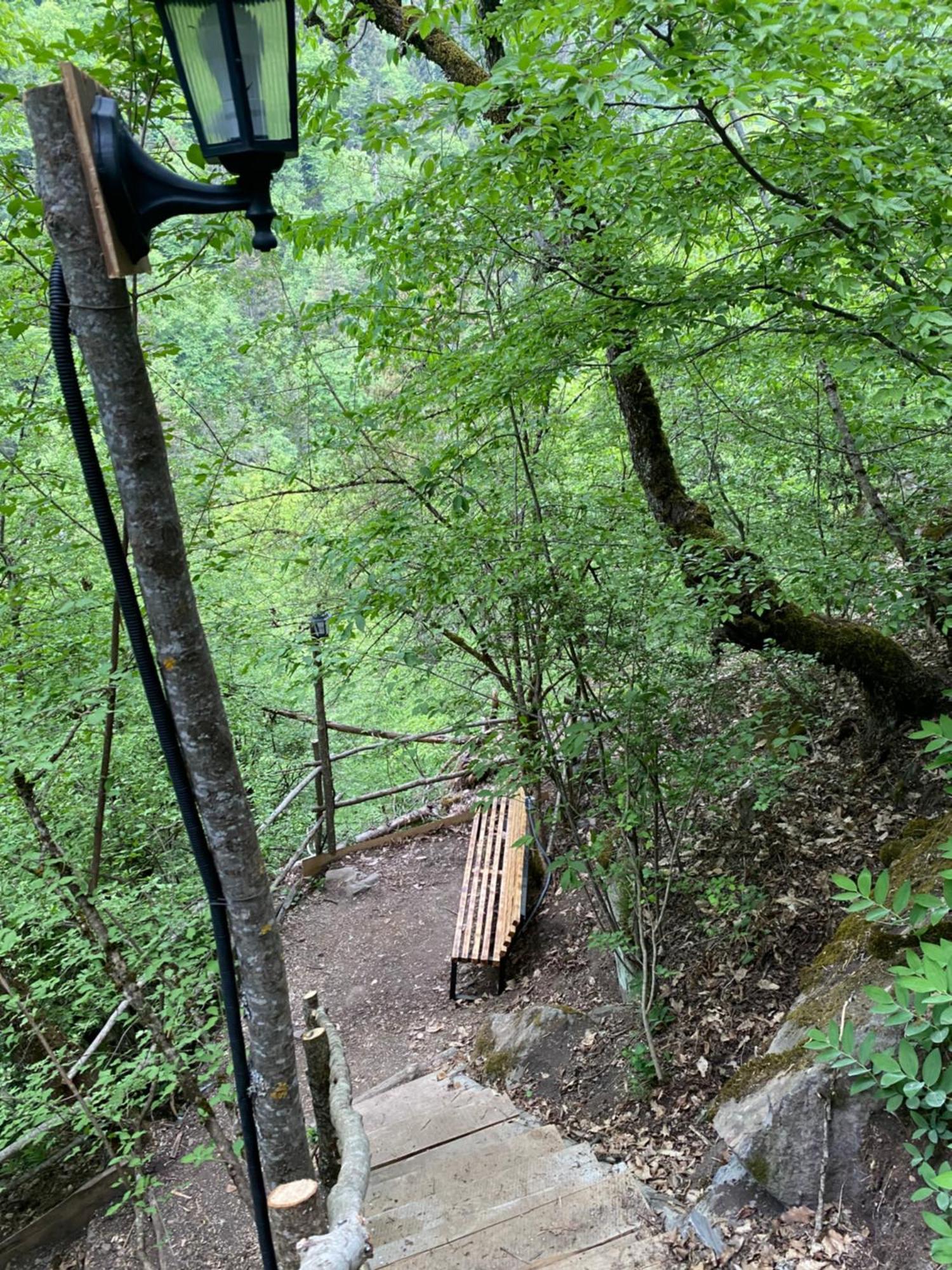 White House Near Borjomi Sadgeriアパートメント エクステリア 写真
